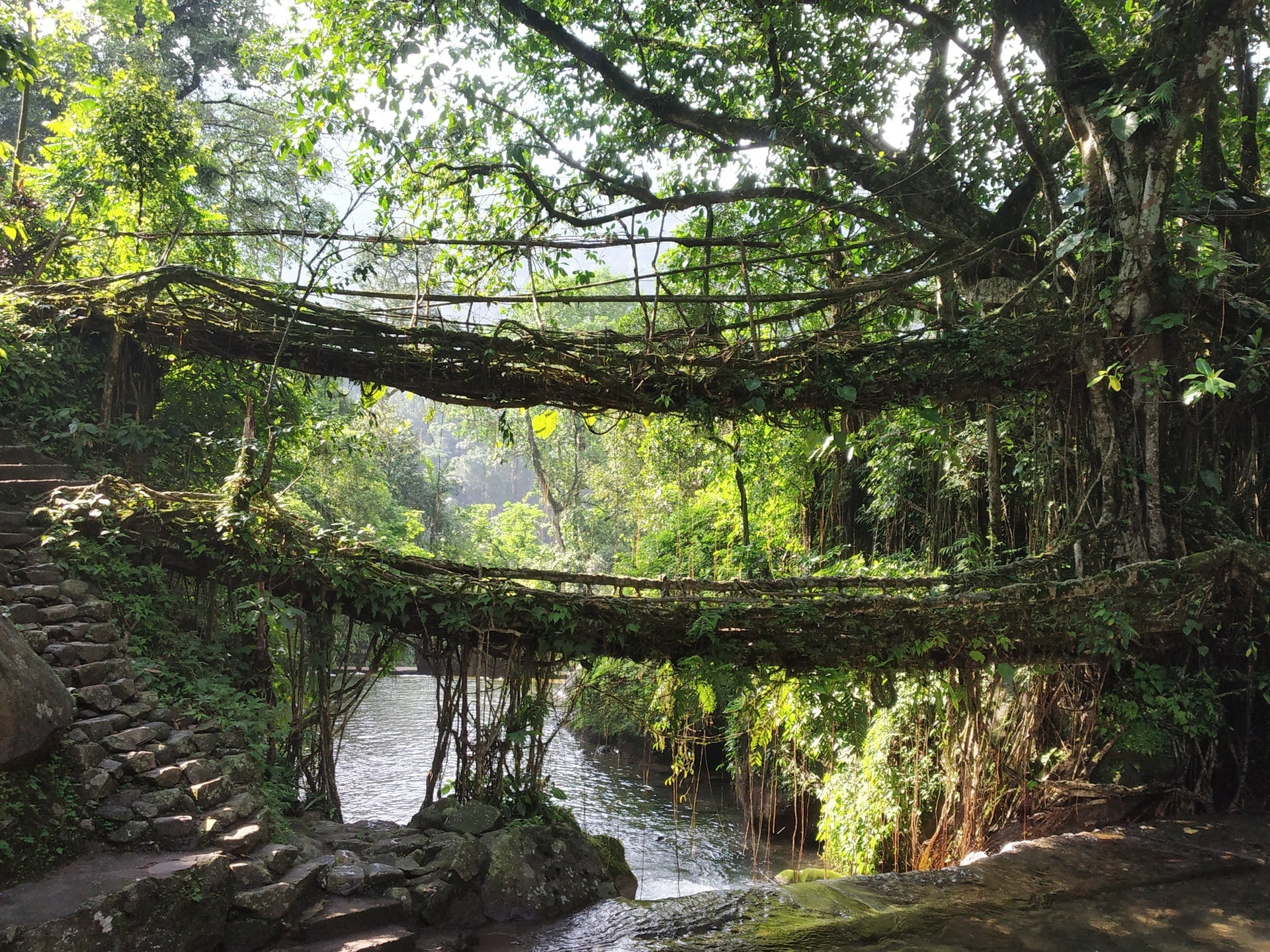 The Lost Heavenly River 'Saraswati': Unveiling the Mysteries of an Ancient Waterway